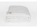Одеяло Non-Allergenic Premium Grass легкое 200х220