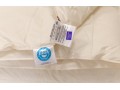 Одеяло пуховое Organic Down Grass всесезонное 200х220