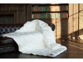 Одеяло пуховое Luxe Down Grass теплое 150х200