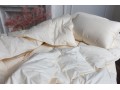 Одеяло пуховое Organic Down Grass всесезонное 200х220